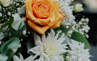 image00027